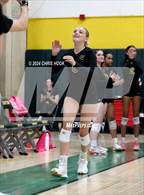 Photo from the gallery "Catalina Foothills @ Canyon del Oro"