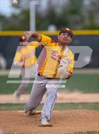 Photo from the gallery "Brush @ Timnath"