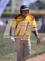 Photo from the gallery "Brush @ Timnath"