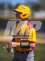 Photo from the gallery "Brush @ Timnath"