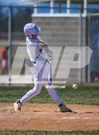 Photo from the gallery "Brush @ Timnath"