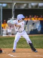 Photo from the gallery "Brush @ Timnath"