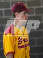 Photo from the gallery "Brush @ Timnath"