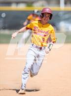 Photo from the gallery "Brush @ Timnath"