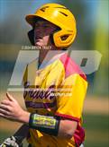 Photo from the gallery "Brush @ Timnath"