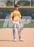 Photo from the gallery "Brush @ Timnath"