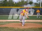 Photo from the gallery "Brush @ Timnath"