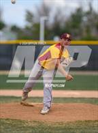 Photo from the gallery "Brush @ Timnath"