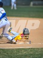 Photo from the gallery "Brush @ Timnath"