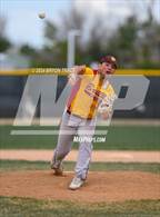 Photo from the gallery "Brush @ Timnath"