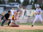Photo from the gallery "Brush @ Timnath"