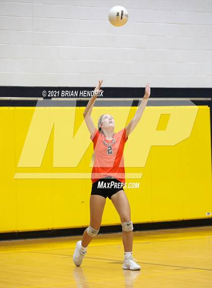 Thumbnail 1 in Davie @ South Iredell photogallery.
