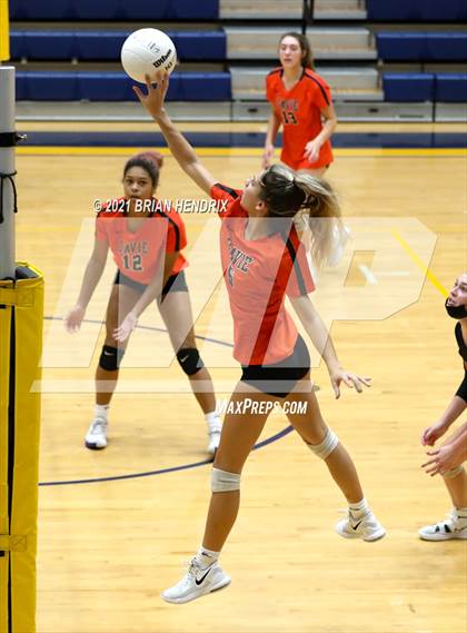 Thumbnail 1 in Davie @ South Iredell photogallery.