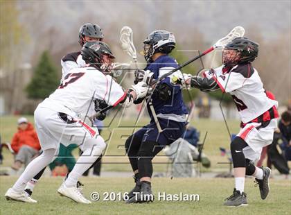 Thumbnail 3 in Timpanogos @ American Fork photogallery.