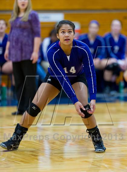 Thumbnail 1 in Stevens vs Warren photogallery.