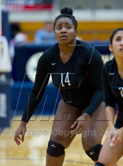 Thumbnail 1 in Stevens vs Warren photogallery.