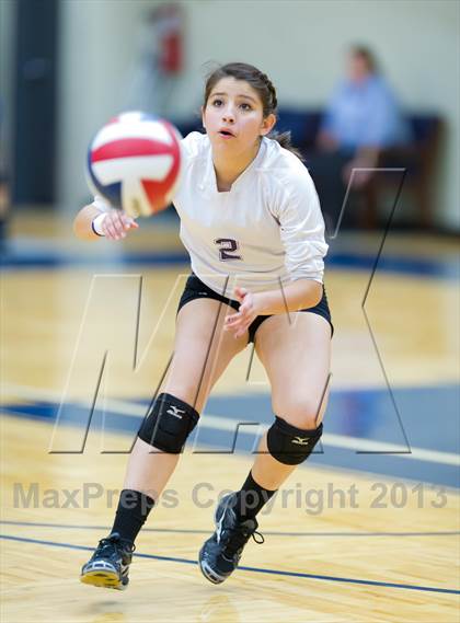 Thumbnail 2 in Stevens vs Warren photogallery.