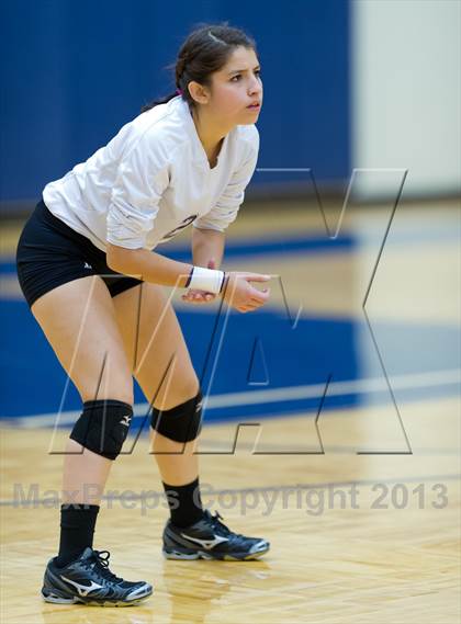 Thumbnail 3 in Stevens vs Warren photogallery.