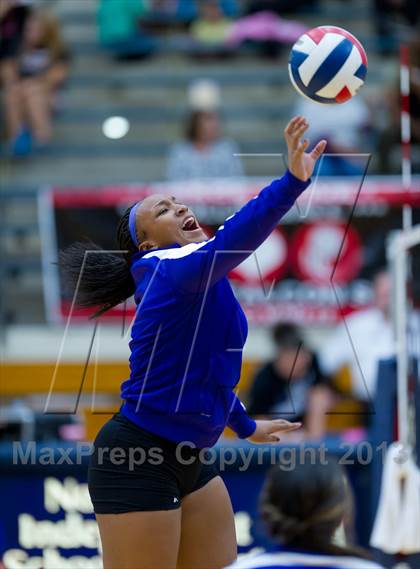 Thumbnail 1 in Stevens vs Warren photogallery.