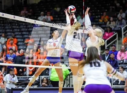 Thumbnail 2 in Grand Oaks vs. Fulshear (UIL 6A Volleyball Division 1 Final) photogallery.
