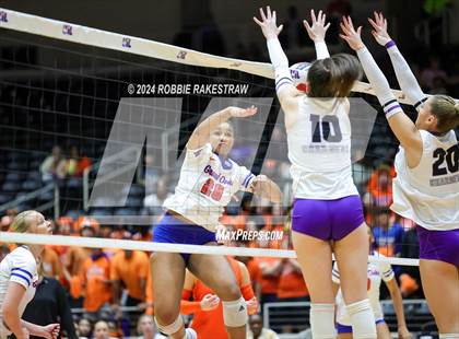Thumbnail 1 in Grand Oaks vs. Fulshear (UIL 6A Volleyball Division 1 Final) photogallery.
