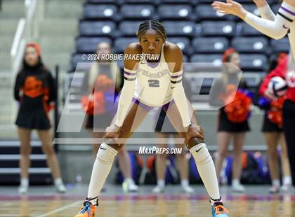Thumbnail 1 in Grand Oaks vs. Fulshear (UIL 6A Volleyball Division 1 Final) photogallery.