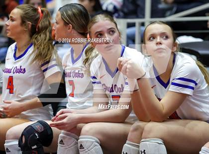 Thumbnail 2 in Grand Oaks vs. Fulshear (UIL 6A Volleyball Division 1 Final) photogallery.