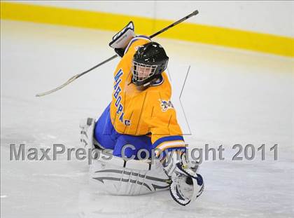 Thumbnail 2 in Mahopac @ Carmel photogallery.