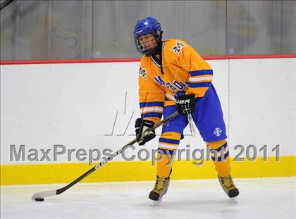 Thumbnail 3 in Mahopac @ Carmel photogallery.