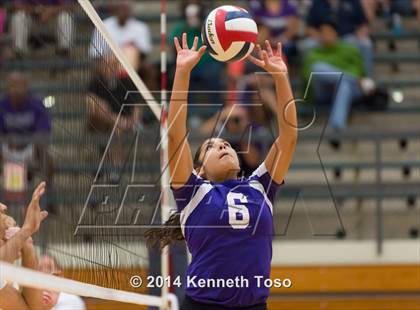 Thumbnail 2 in Warren @ O'Connor photogallery.