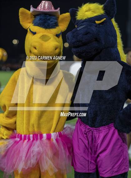 Thumbnail 2 in Cypress Park @ Cypress Ranch photogallery.