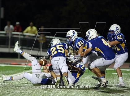 Thumbnail 1 in Andale @ Collegiate photogallery.