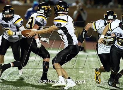 Thumbnail 2 in Andale @ Collegiate photogallery.