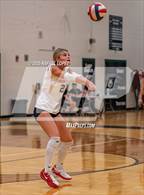 Photo from the gallery "Langham Creek @ Pasadena"