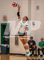 Photo from the gallery "Langham Creek @ Pasadena"