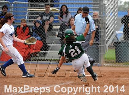 Thumbnail 2 in Schurr @ San Marino photogallery.