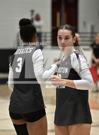 Thumbnail 2 in Basha @ Hamilton photogallery.