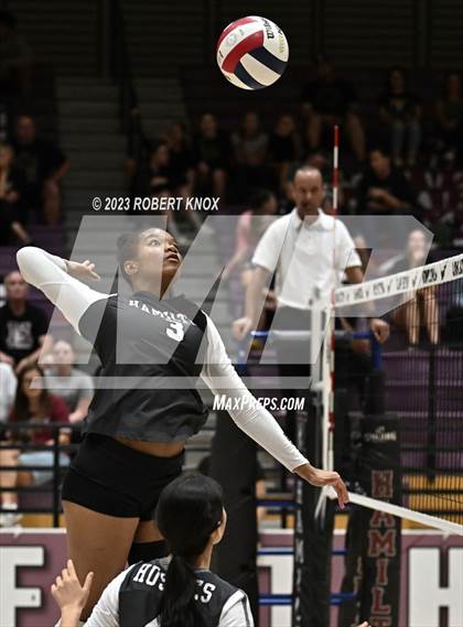 Thumbnail 2 in Basha @ Hamilton photogallery.