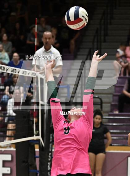 Thumbnail 3 in Basha @ Hamilton photogallery.