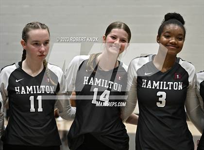 Thumbnail 3 in Basha @ Hamilton photogallery.