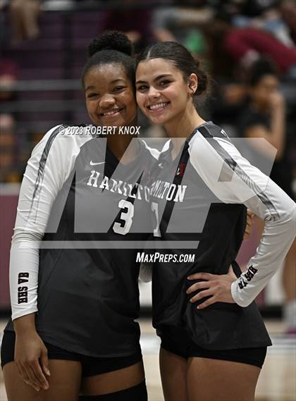 Thumbnail 3 in Basha @ Hamilton photogallery.