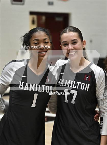 Thumbnail 1 in Basha @ Hamilton photogallery.