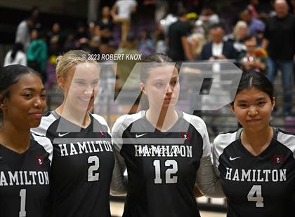 Thumbnail 2 in Basha @ Hamilton photogallery.