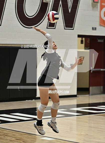 Thumbnail 1 in Basha @ Hamilton photogallery.