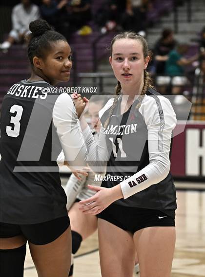 Thumbnail 2 in Basha @ Hamilton photogallery.