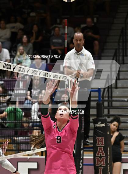 Thumbnail 1 in Basha @ Hamilton photogallery.