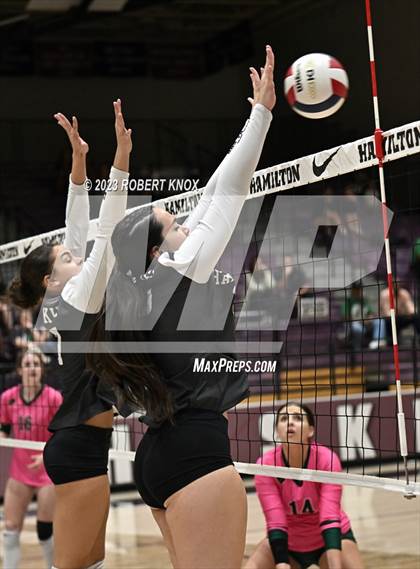 Thumbnail 1 in Basha @ Hamilton photogallery.