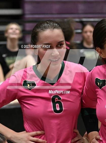 Thumbnail 3 in Basha @ Hamilton photogallery.