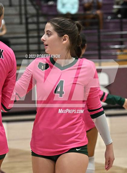 Thumbnail 3 in Basha @ Hamilton photogallery.