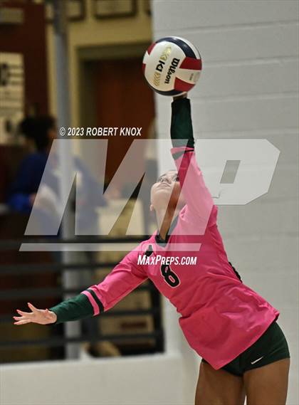 Thumbnail 1 in Basha @ Hamilton photogallery.